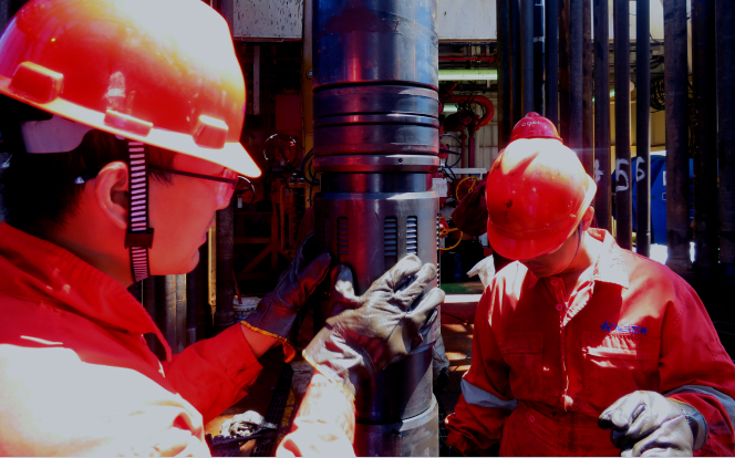 Customized Technical Development